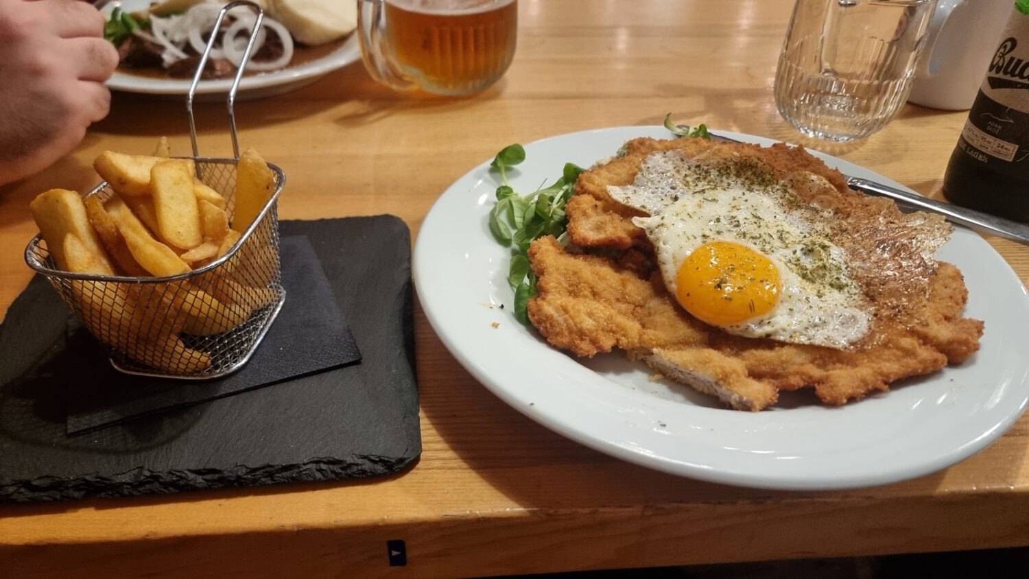 Drevny Kocur Apollo Poznań