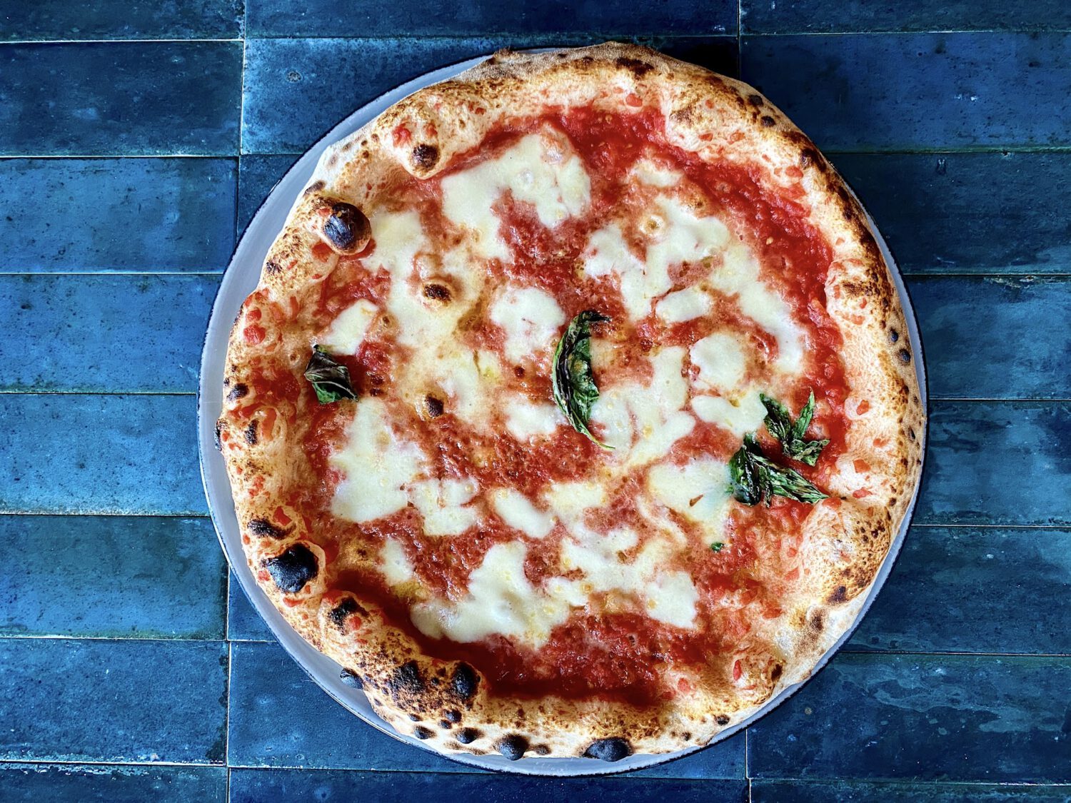 Forni Rossi 543 Pizza Napoletana Wilda