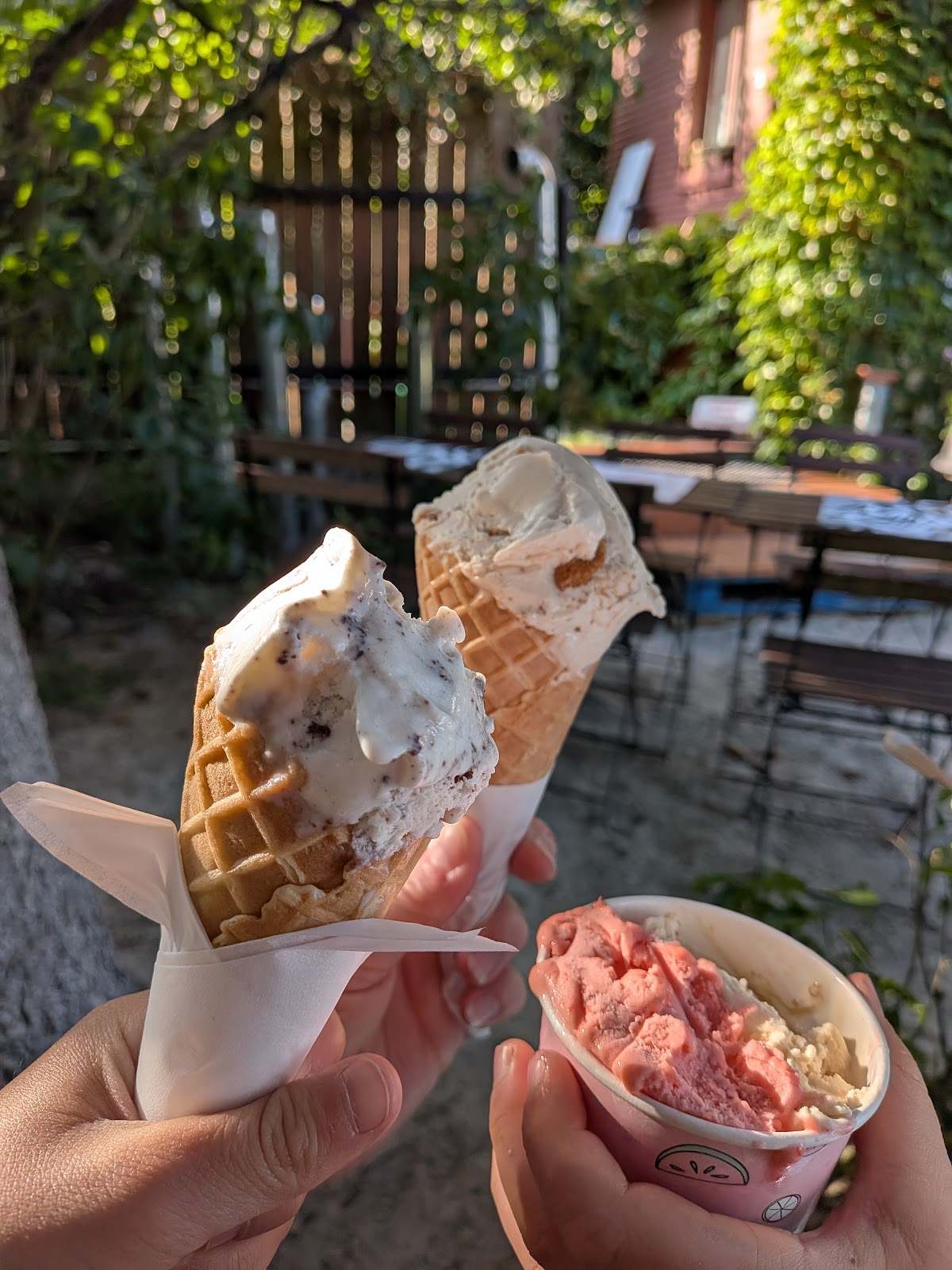 Lodziarnia W Ogrodzie